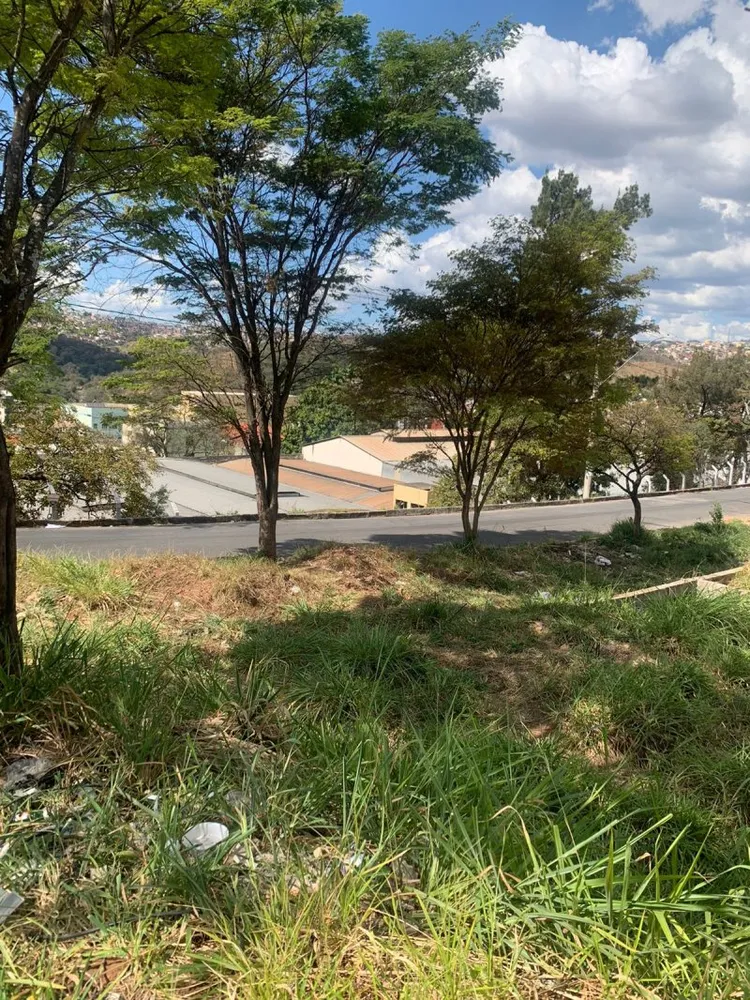 Terreno, 3600 m² - Foto 5