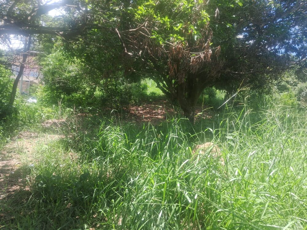 Terreno à venda, 1680m² - Foto 1
