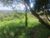 Terreno, 1680 m² - Foto 3