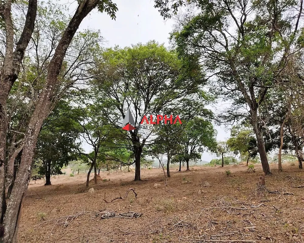 Terreno, 400000 m² - Foto 14