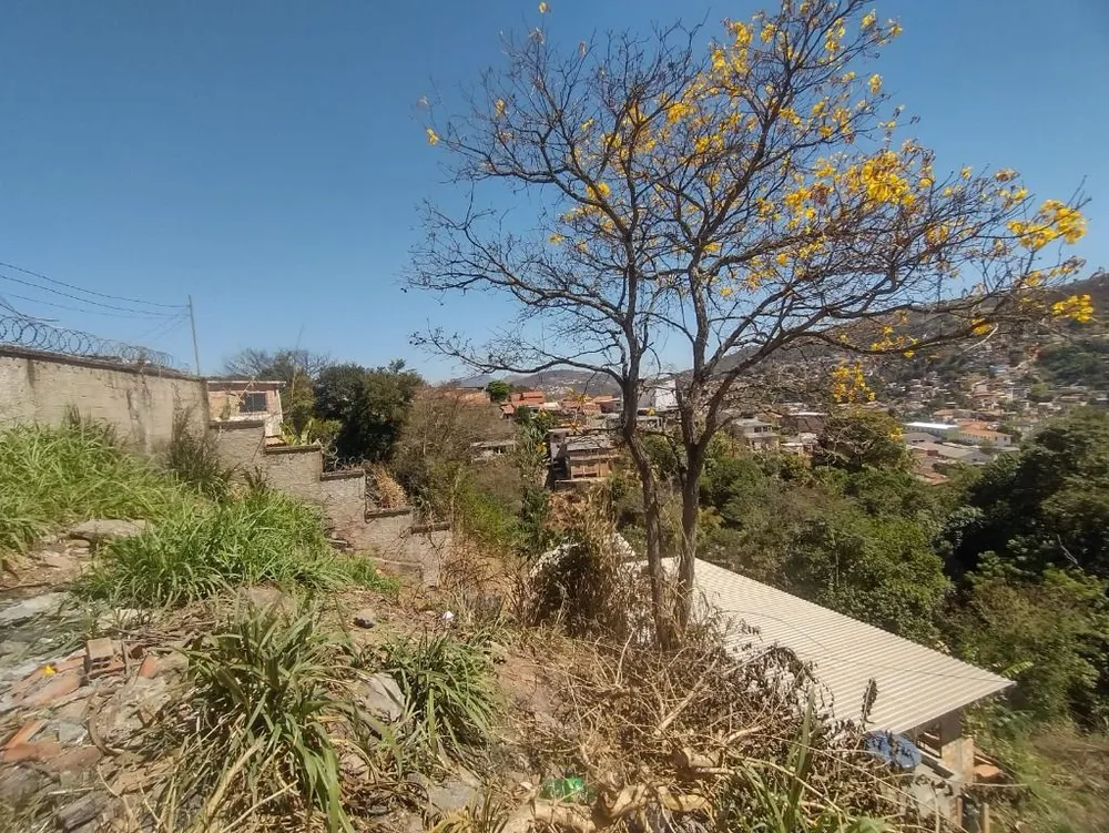 Terreno, 220 m² - Foto 9