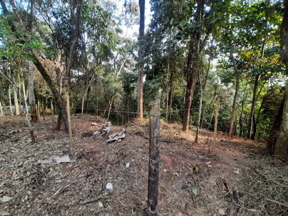 Terreno, 1016 m² - Foto 5