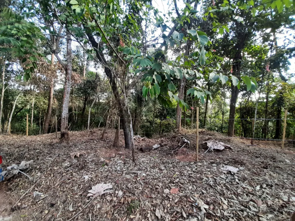 Terreno, 1016 m² - Foto 4
