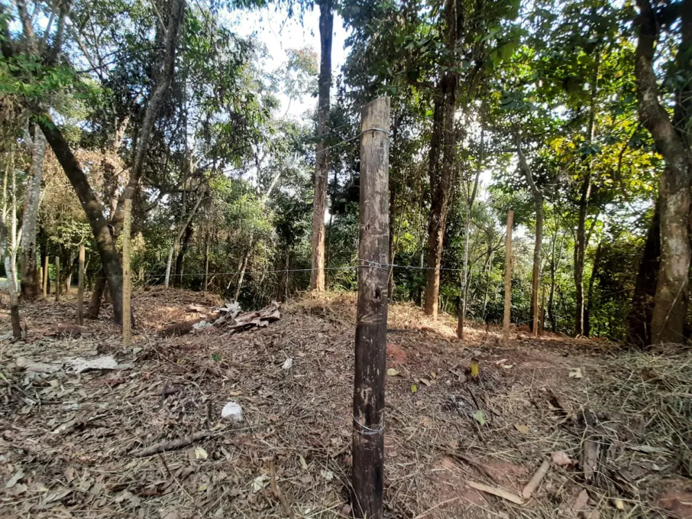 Terreno, 1016 m² - Foto 6