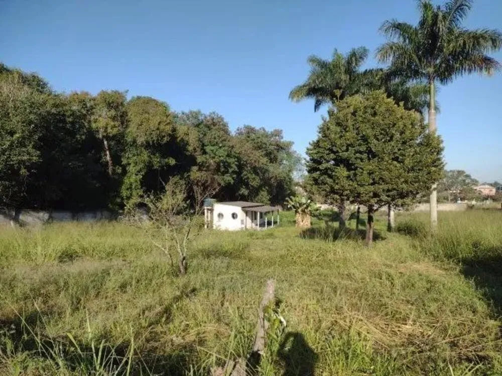 Terreno, 5000 m² - Foto 3