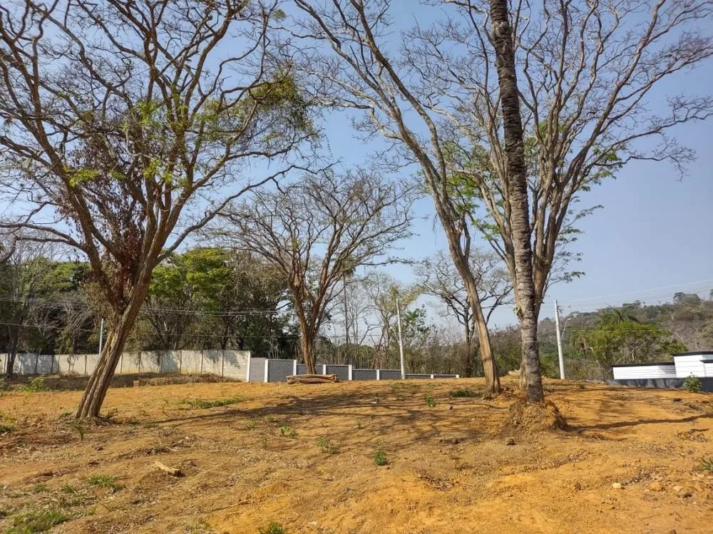 Terreno, 1092 m² - Foto 9