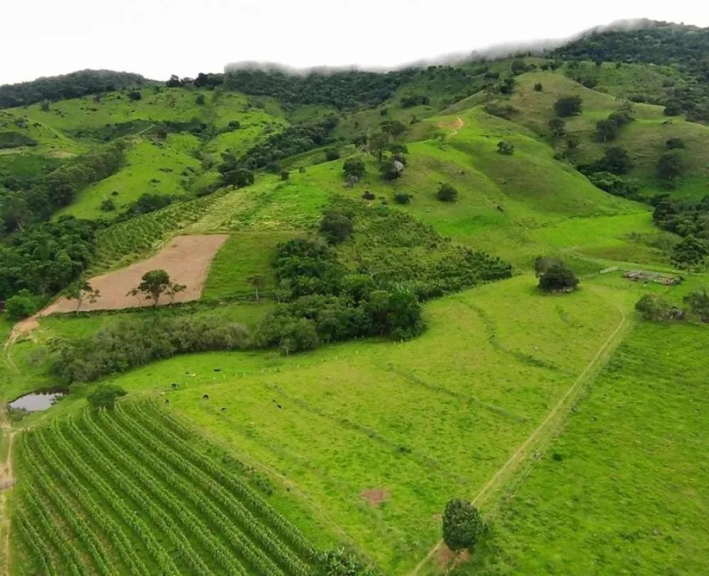 Fazenda, 77 hectares - Foto 12