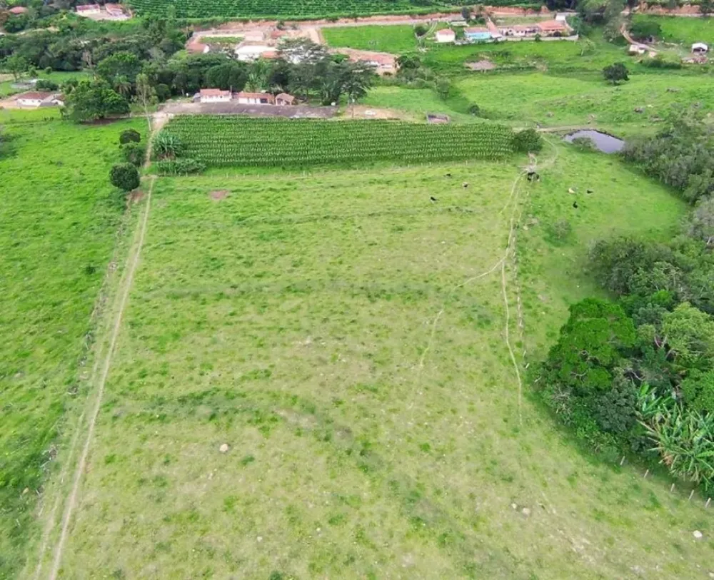 Fazenda, 77 hectares - Foto 9