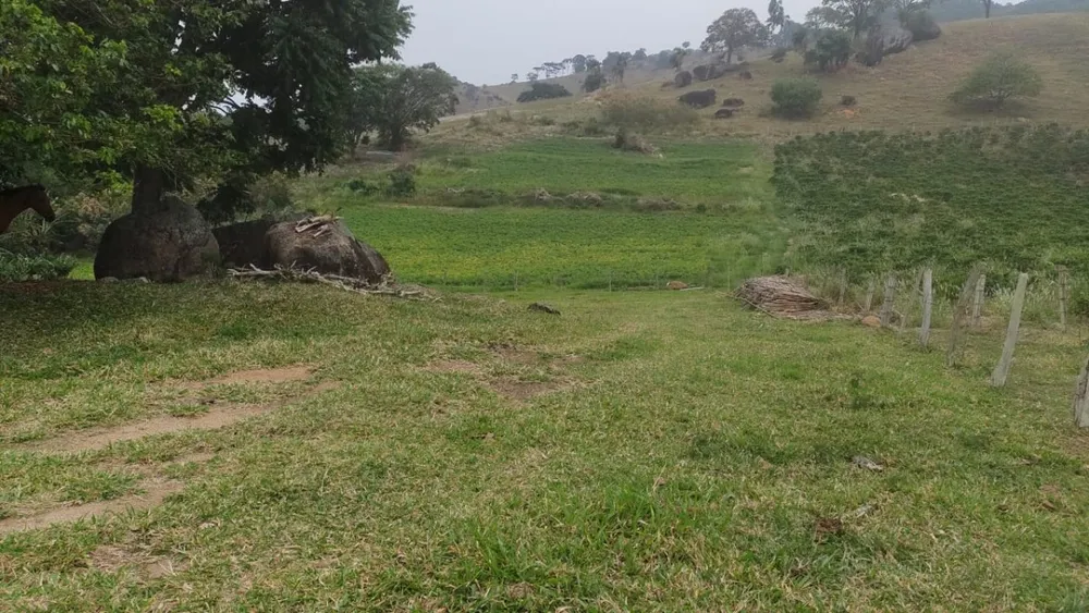 Fazenda, 77 hectares - Foto 3