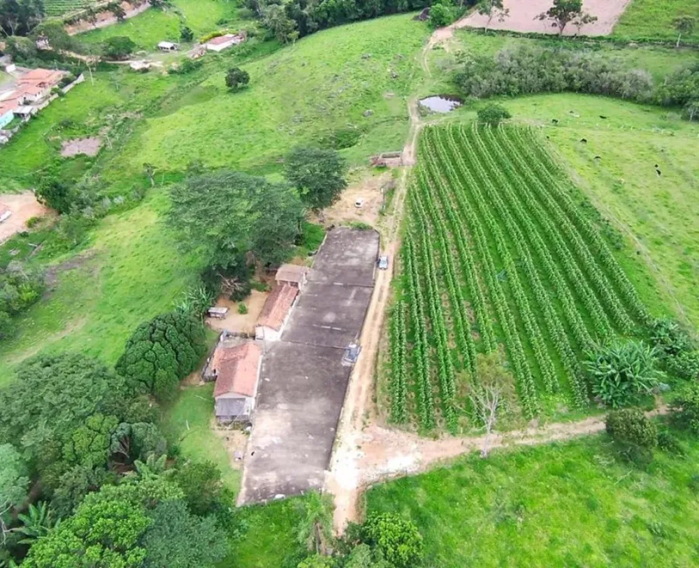 Fazenda, 77 hectares - Foto 14