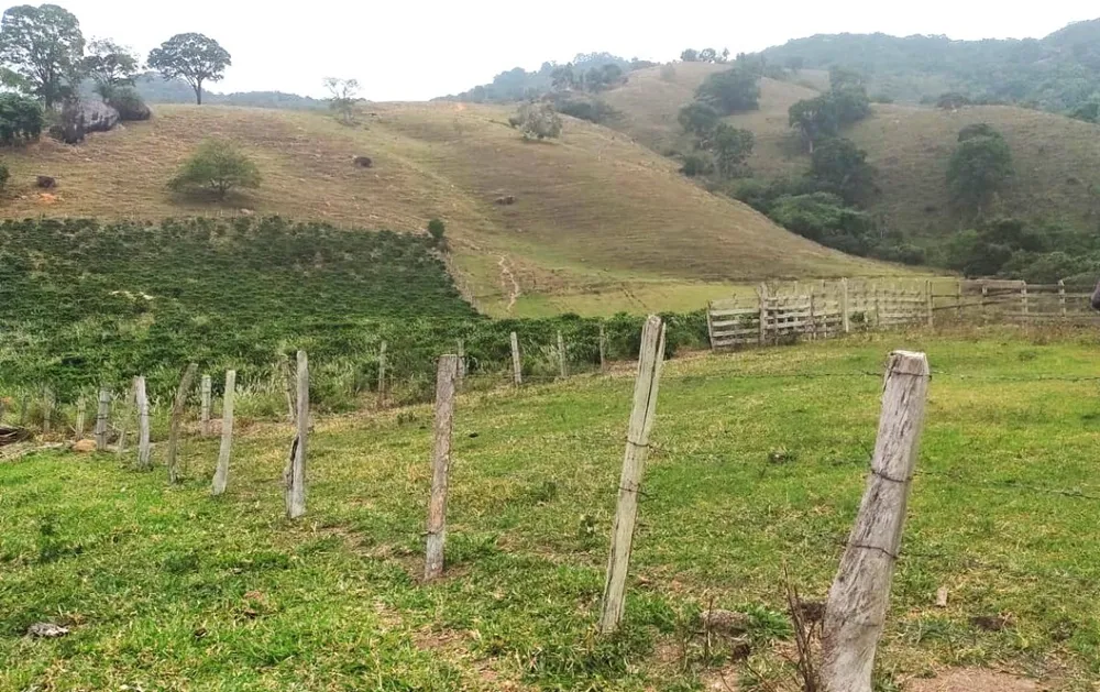 Fazenda, 77 hectares - Foto 7