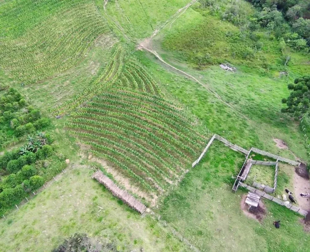 Fazenda, 77 hectares - Foto 13