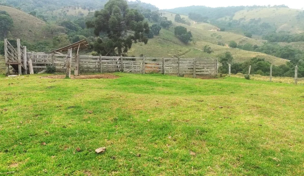 Fazenda, 77 hectares - Foto 5
