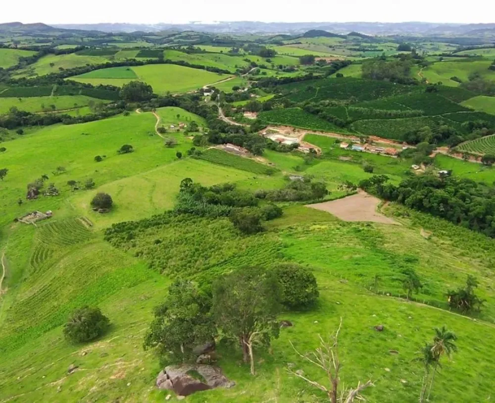 Fazenda, 77 hectares - Foto 16