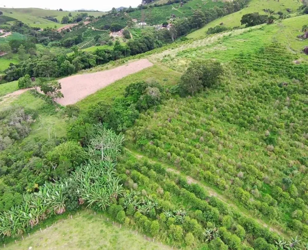Fazenda, 77 hectares - Foto 8