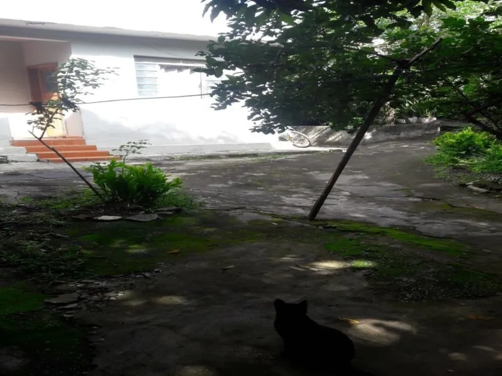Casa, 3 quartos, 1240 m² - Foto 12