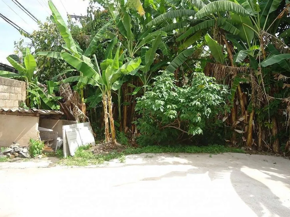 Casa, 3 quartos, 1240 m² - Foto 10
