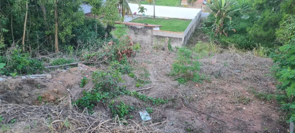 Terreno, 300 m² - Foto 5