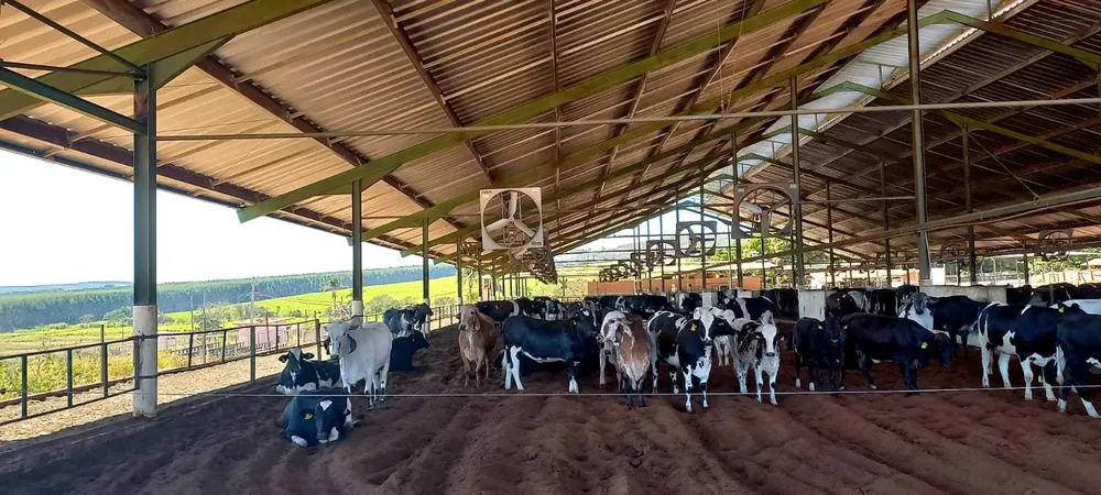 Fazenda, 1 quarto - Foto 4