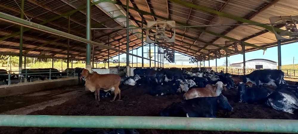 Fazenda, 1 quarto - Foto 1