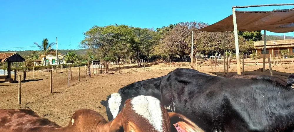 Fazenda, 1 quarto - Foto 7
