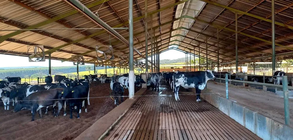 Fazenda, 1 quarto - Foto 3