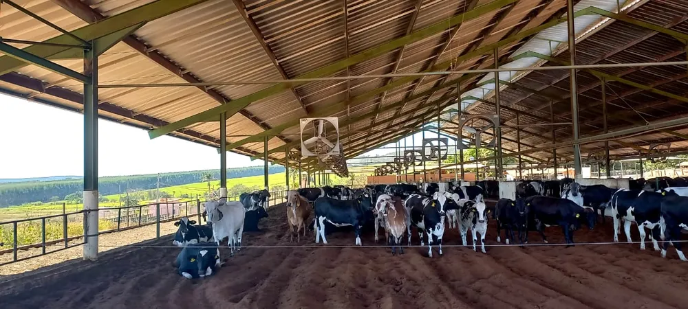 Fazenda, 1 quarto - Foto 2