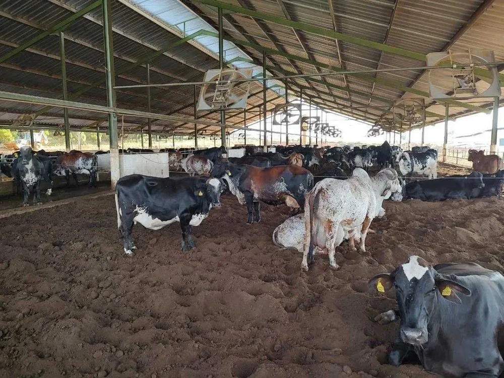 Fazenda, 1 quarto - Foto 5