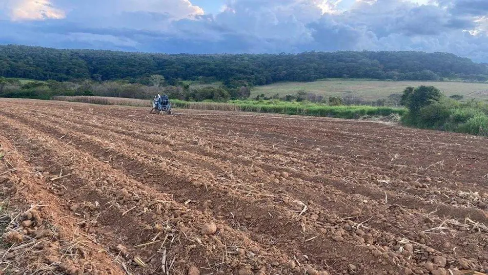 Fazenda, 1 quarto - Foto 9