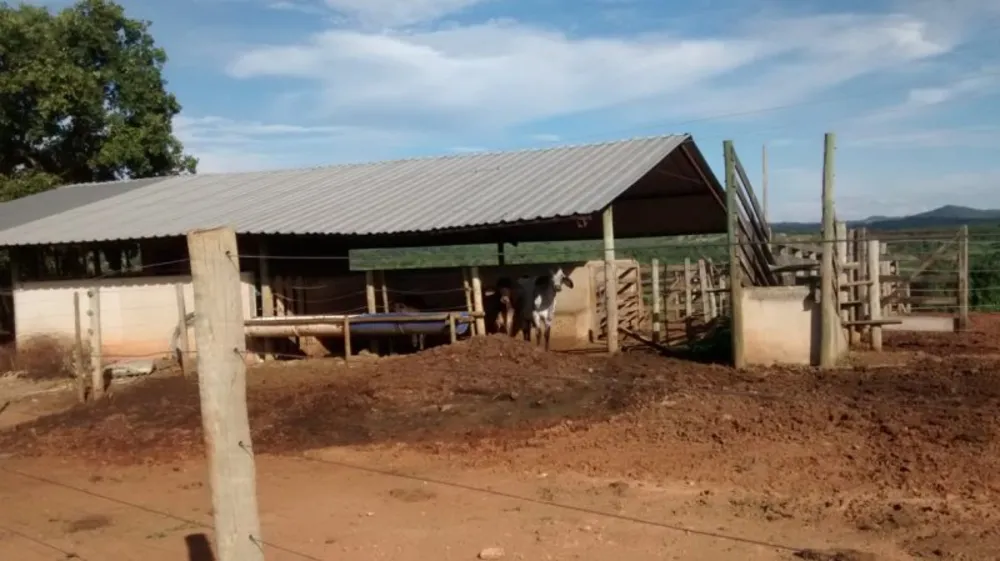 Chácara, 4 quartos - Foto 3