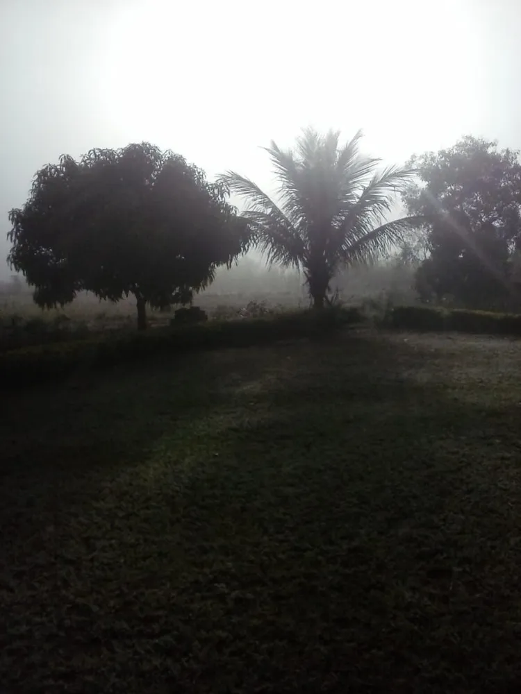 Chácara, 4 quartos - Foto 5