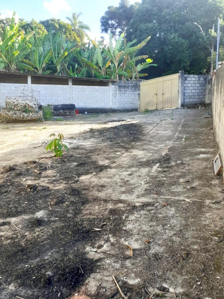 Chácara à venda com 5 quartos, 10000m² - Foto 3