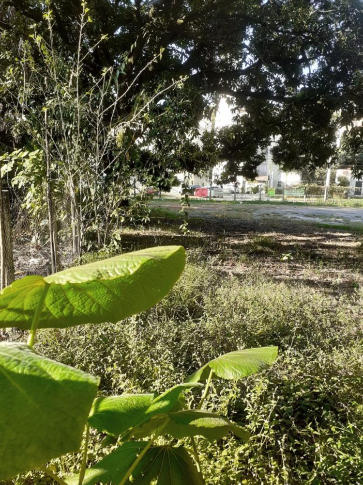 Chácara à venda com 5 quartos, 10000m² - Foto 10