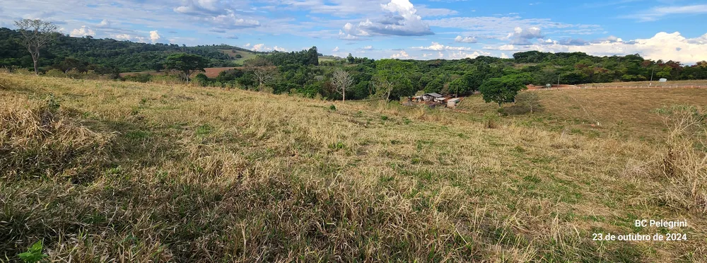 Fazenda, 60 hectares - Foto 17