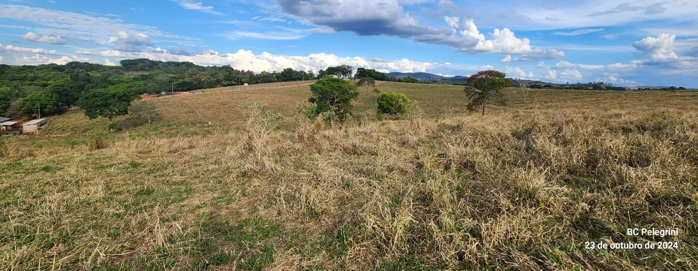 Fazenda, 60 hectares - Foto 9