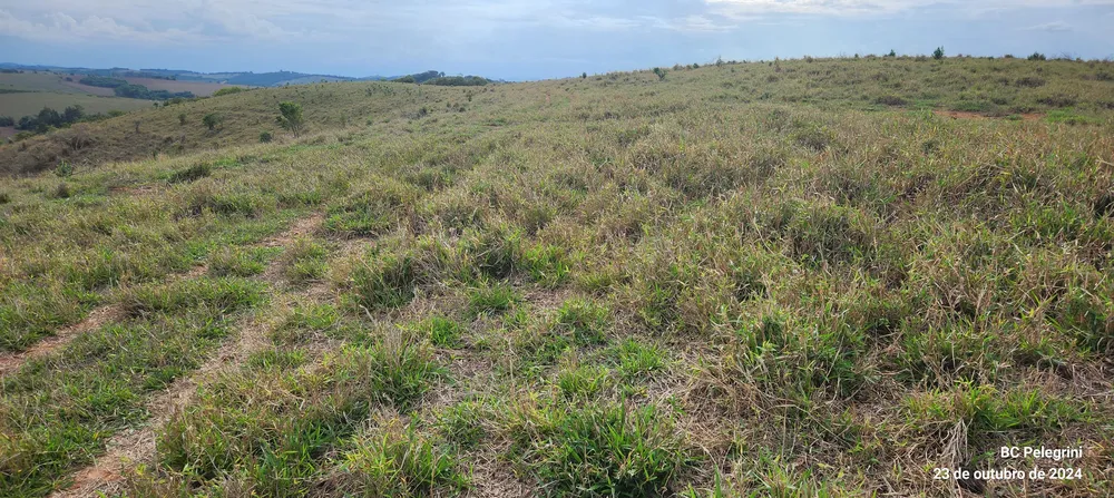 Fazenda, 60 hectares - Foto 3