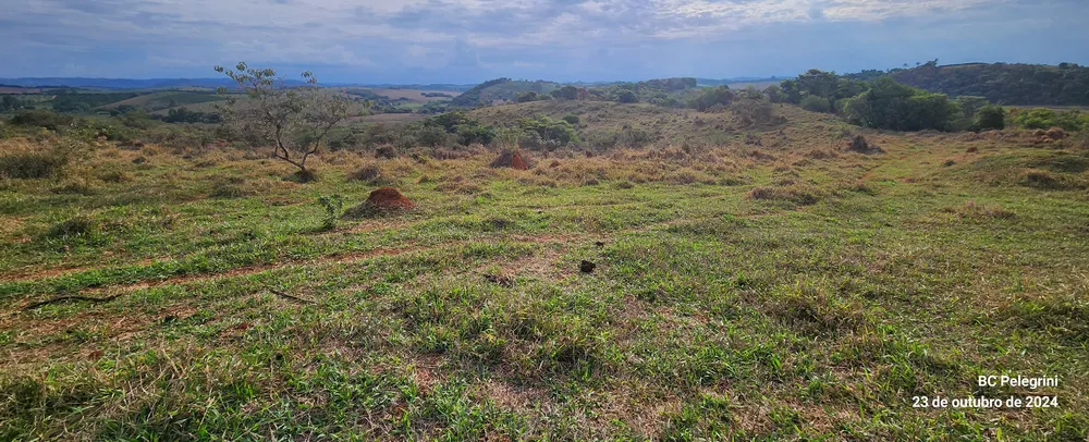 Fazenda, 60 hectares - Foto 3