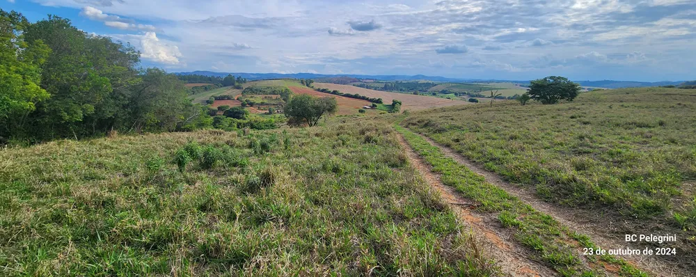 Fazenda, 60 hectares - Foto 10