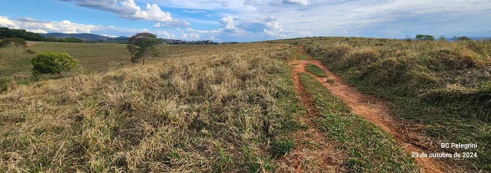 Fazenda, 60 hectares - Foto 8