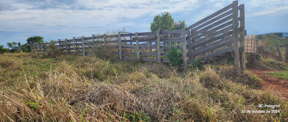 Fazenda, 60 hectares - Foto 20
