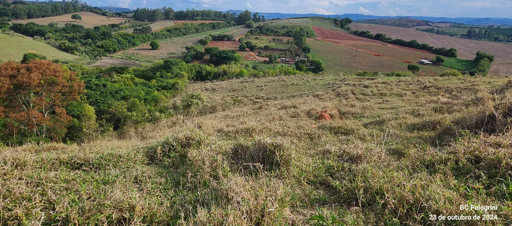 Fazenda, 60 hectares - Foto 11