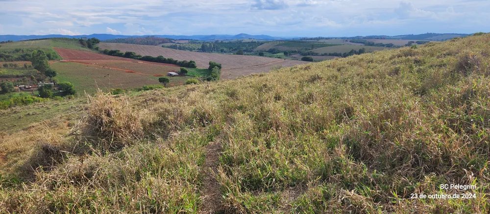 Fazenda, 60 hectares - Foto 1