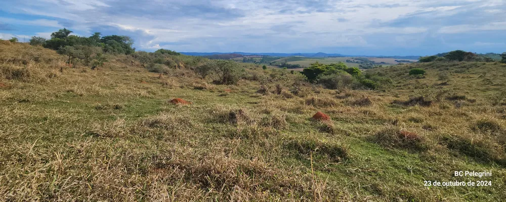 Fazenda, 60 hectares - Foto 24