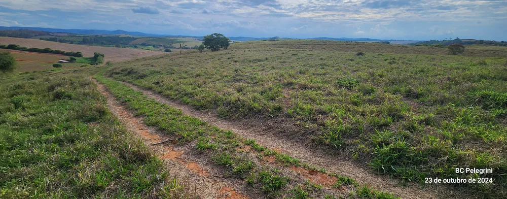 Fazenda, 60 hectares - Foto 2