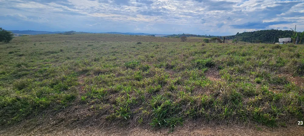 Fazenda, 60 hectares - Foto 2