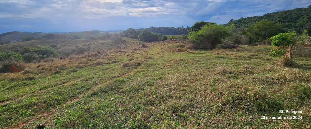 Fazenda, 60 hectares - Foto 12