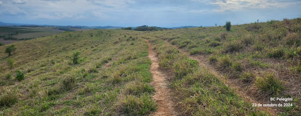 Fazenda, 60 hectares - Foto 4