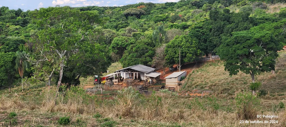 Fazenda, 60 hectares - Foto 7