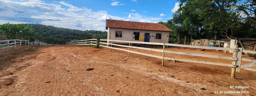 Fazenda, 60 hectares - Foto 7