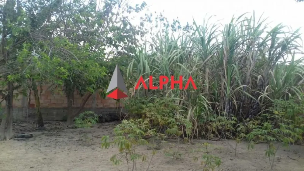 Terreno, 1321 m² - Foto 8